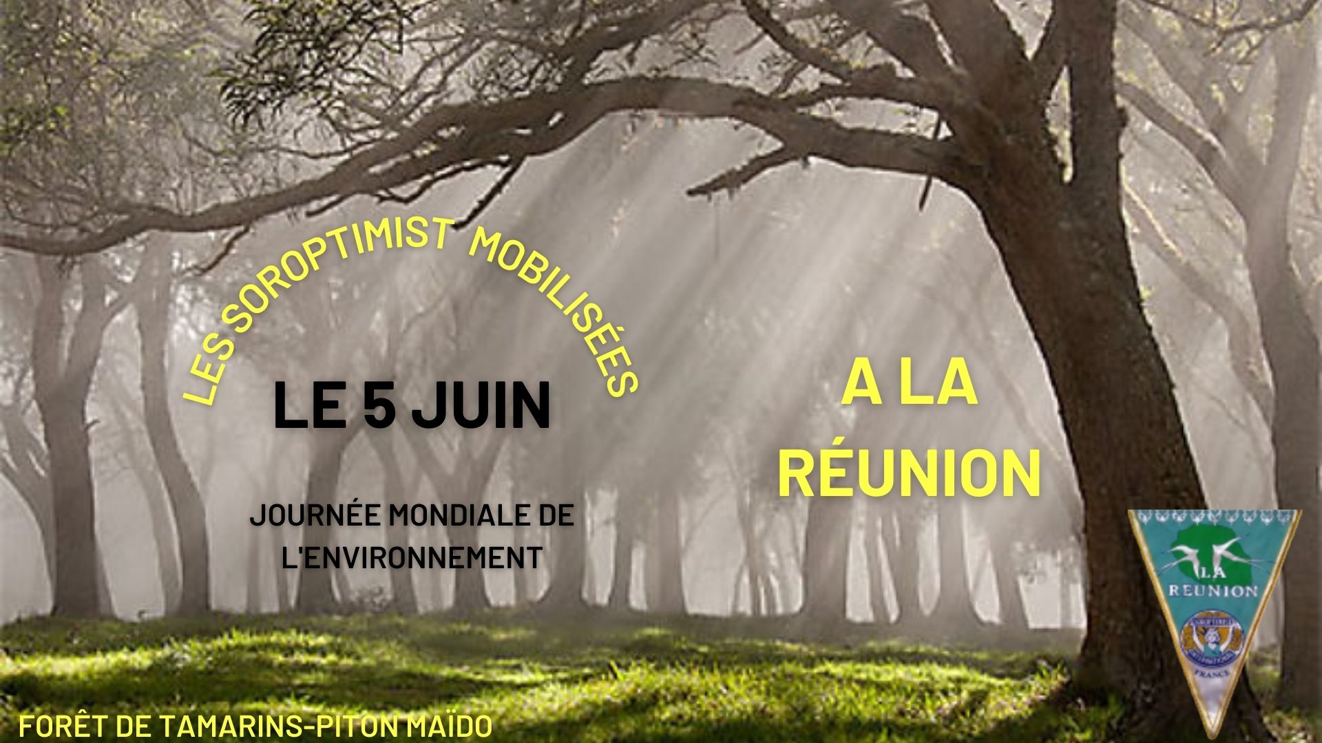 Le Club de Saint Denis mobilisé pour le 5 juin, journée mondiale de l’environnement.