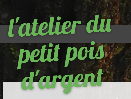 L’atelier du petit pois d’argent -Véronique Le Bescond